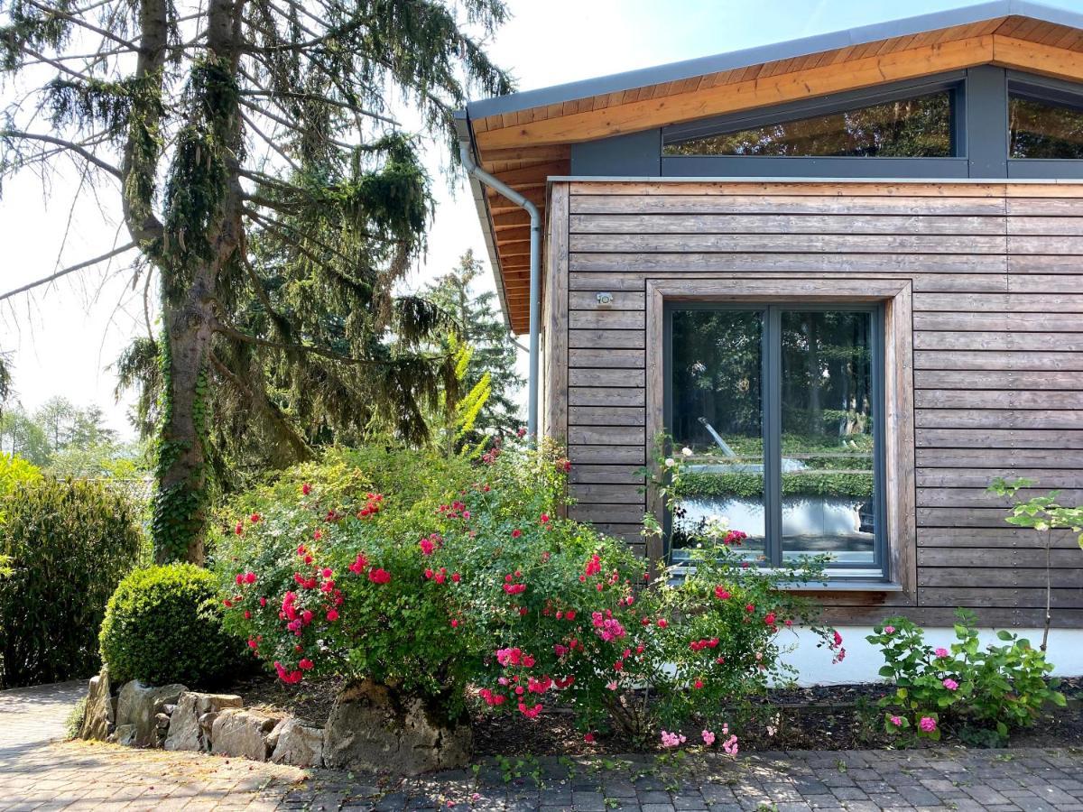 אוסטריך-ווינקל Balthasar Ress Guesthouse Am Rebhang Im Rheingau מראה חיצוני תמונה